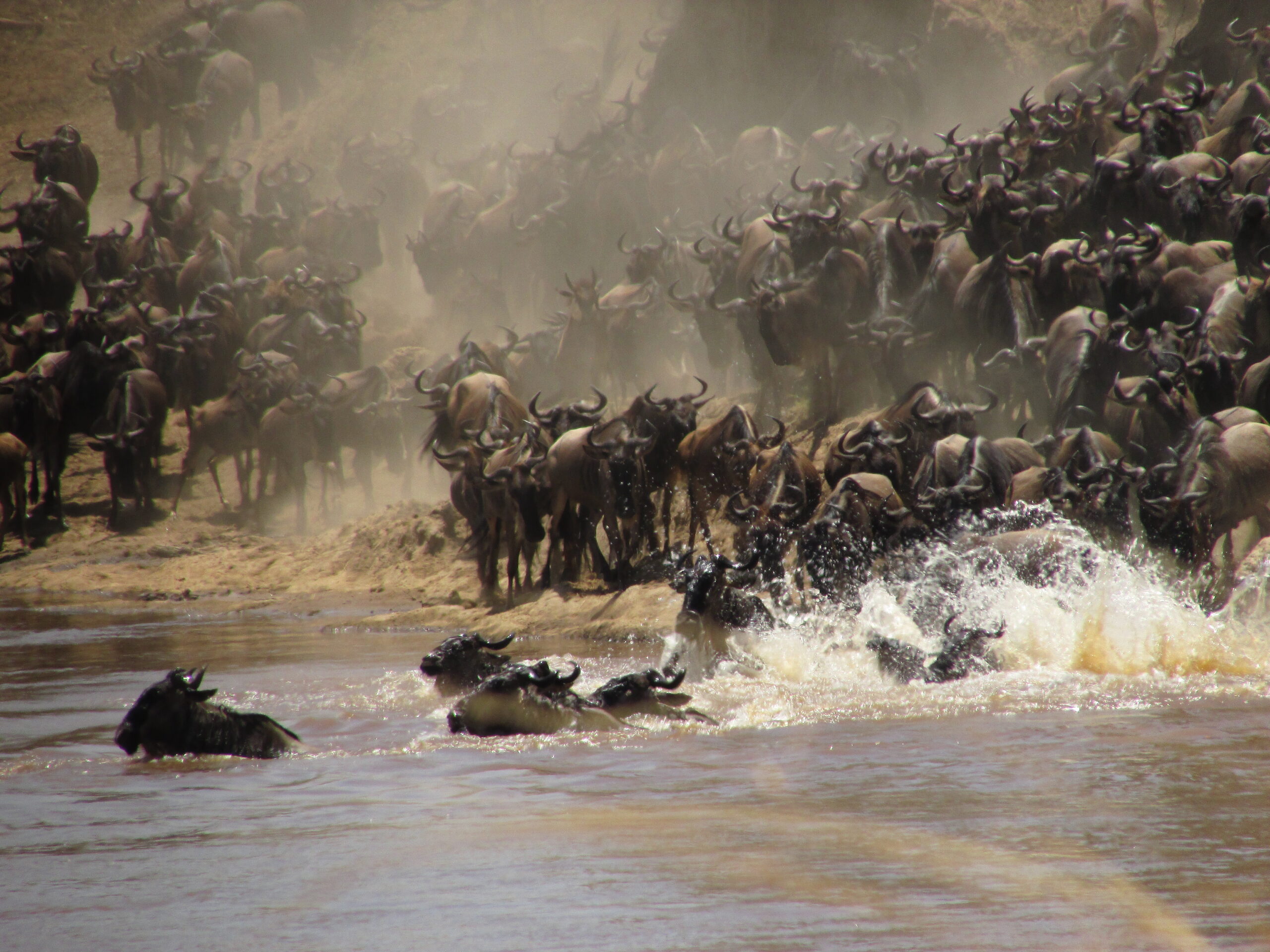 7 Days Masai Mara Great Migration Safari