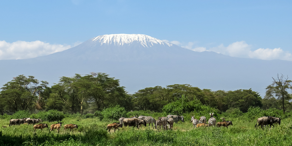 9 Days Trekking Mt Kilimanjaro (Machame Route)