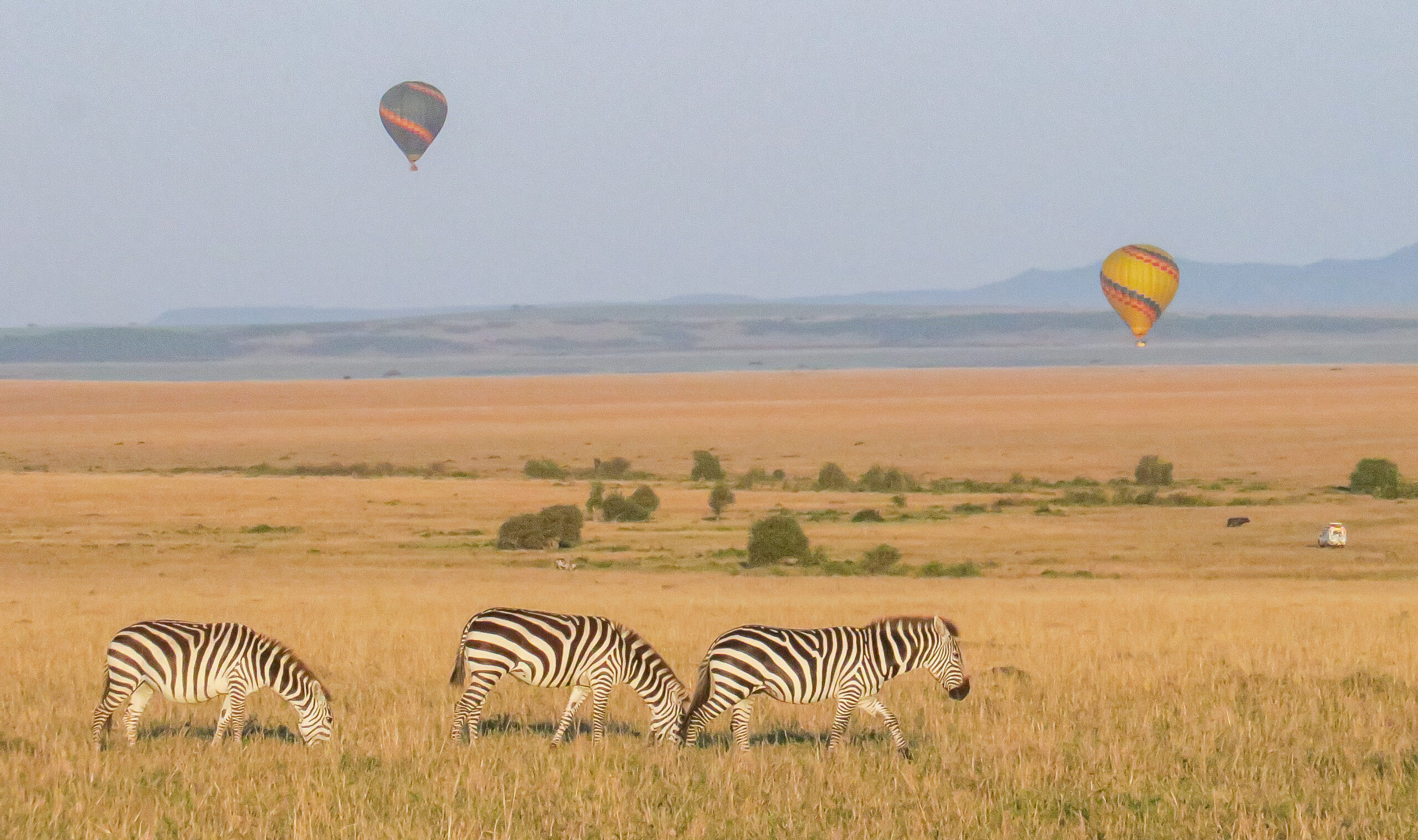 6-Day Tanzania Experience Safari